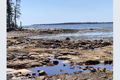 Lot #17 Wilderness Shores Road, Steuben, ME 04680 - Photo 11