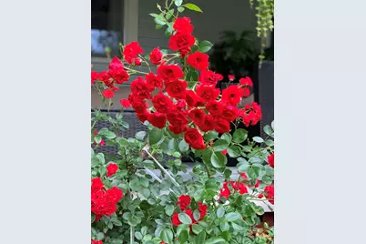 274 Front Street, Richmond, ME 04357 - Photo 11