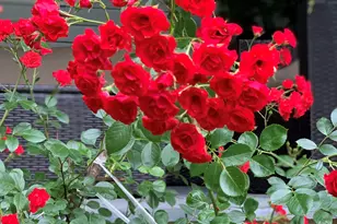 274 Front St, Richmond, ME 04357 - Photo 11