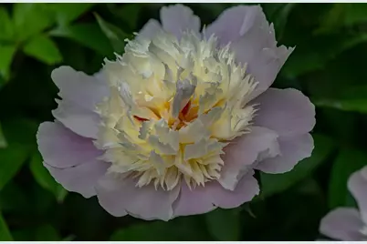 274 Front Street, Richmond, ME 04357 - Photo 93