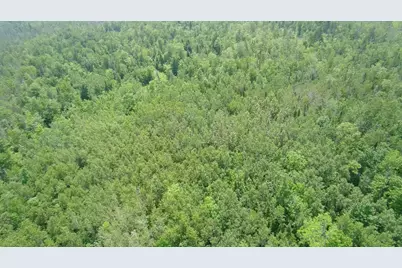 Tbd Trafton Road, Parkman, ME 04443 - Photo 5