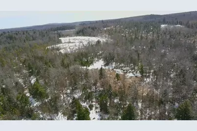 Tbd Trafton Road, Parkman, ME 04443 - Photo 1