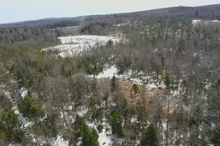 Tbd Trafton Rd, Parkman, ME 04443 - Photo 1