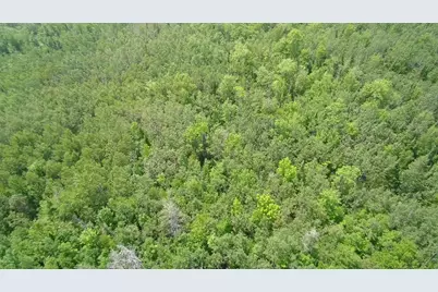 Tbd Trafton Road, Parkman, ME 04443 - Photo 1