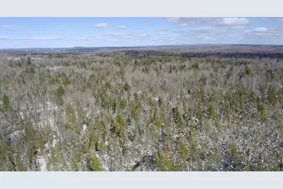 Tbd Trafton Road, Parkman, ME 04443 - Photo 9