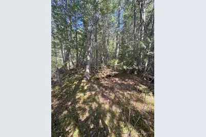 M7 L5 Lombard Road, Lakeville, ME 04487 - Photo 5