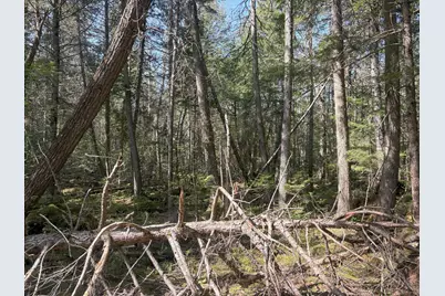 M7 L5 Lombard Road, Lakeville, ME 04487 - Photo 11