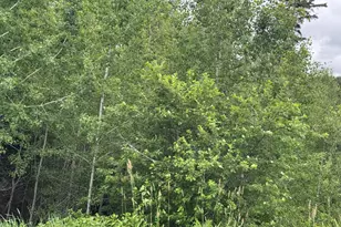 26 New Canada Rd, New Canada, ME 04743 - Photo 13