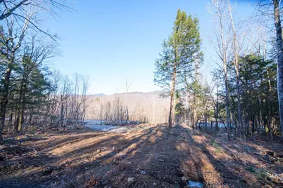 Lot 35 Trillium Drive, Newry, ME 04261 - Photo 5