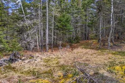12D, 12I Mildred Grace Road, Islesboro, ME 04848 - Photo 11