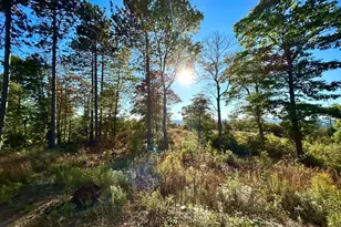 Map 11 Lot 8 Gray Rd, Sangerville, ME 04479 - Photo 1