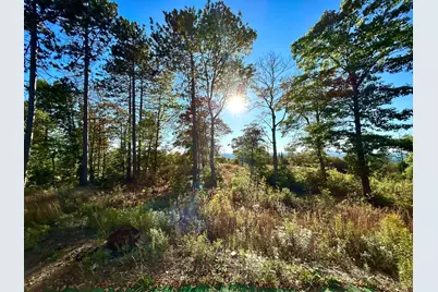 Map 11 Lot 8 Gray Road, Sangerville, ME 04479 - Photo 9