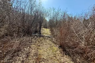 30 Harrision Rd, Edmunds Twp, ME 04628 - Photo 73