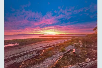 228 Gooseberry Point Road, Islesboro, ME 04848 - Photo 51