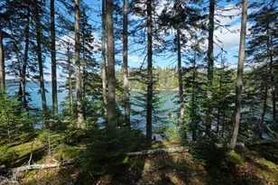 422 Wallston Rd, Saint George, ME 04860 - Photo 15