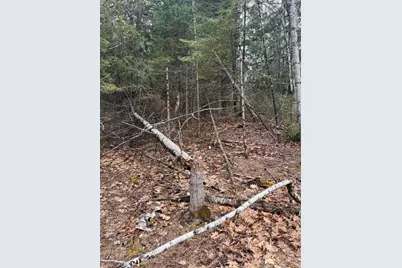 498 Morrill Road, Winslow, ME 04901 - Photo 27