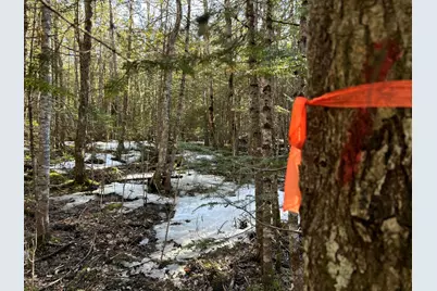 Map5Lot1 Silvers Mills Road, Sangerville, ME 04479 - Photo 29