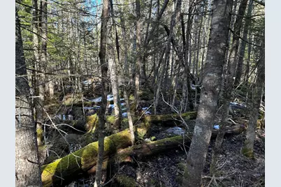 Map5Lot1 Silvers Mills Road, Sangerville, ME 04479 - Photo 31