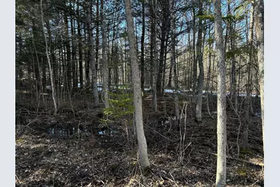 Map5Lot1 Silvers Mills Road, Sangerville, ME 04479 - Photo 13