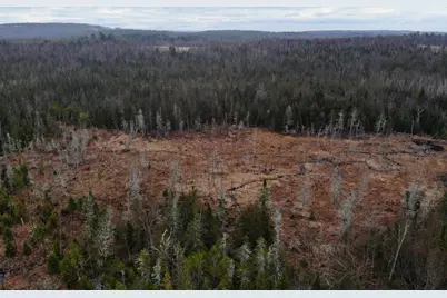 Map5Lot1 Silvers Mills Road, Sangerville, ME 04479 - Photo 21