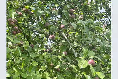 1 Daggett Road, Perry, ME 04667 - Photo 75