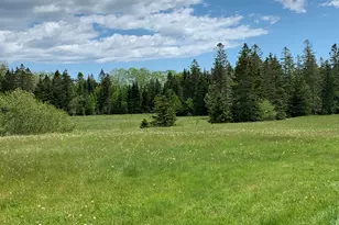 1 Daggett Rd, Perry, ME 04667 - Photo 69