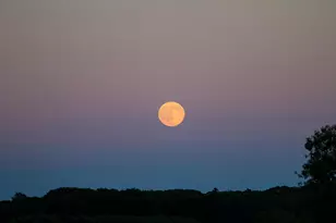 1 Quarry Rd, Scarborough, ME 04074 - Photo 55