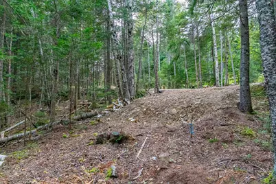Lot2A-2 Holway Road, Machias, ME 04654 - Photo 5