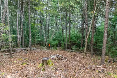 Lot2A-2 Holway Road, Machias, ME 04654 - Photo 15