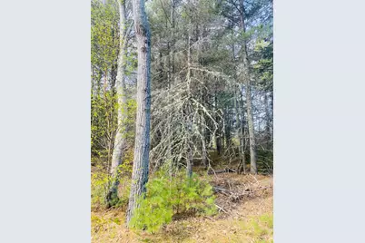 1 (#1) Hornbeam Way, Bangor, ME 04401 - Photo 5