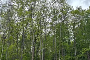 6 Justrite Way, Poland, ME 04274 - Photo 17