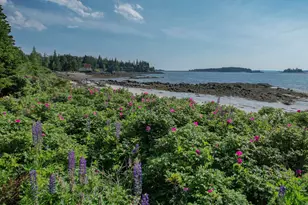 397 Cape Split Rd, Addison, ME 04606 - Photo 47