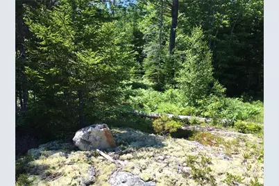 65 Lookout Mountain Road, East Machias, ME 04630 - Photo 11