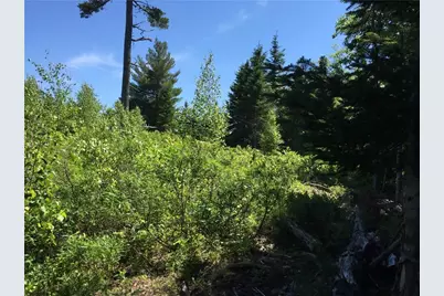 65 Lookout Mountain Road, East Machias, ME 04630 - Photo 15