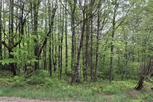 56 School St, New Portland, ME 04954 - Photo 1