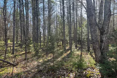 00 Skillings Drive, Woolwich, ME 04579 - Photo 11