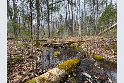 242 Bottle Lake Road, Springfield, ME 04487 - Photo 39