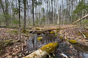 242 Bottle Lake Rd, Springfield, ME 04487 - Photo 39