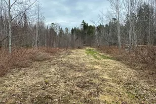 242 Bottle Lake Rd, Springfield, ME 04487 - Photo 47