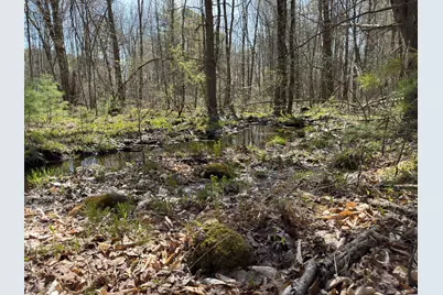 Mr7L96C Scarlet Way, Lebanon, ME 04027 - Photo 5