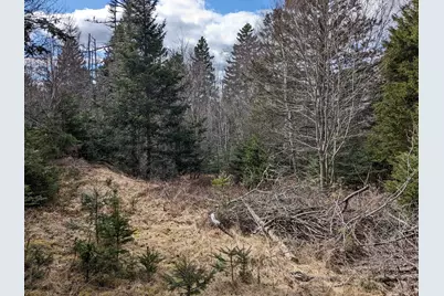 4-28 Old Town Rd/Old County Rd Road, Machiasport, ME 04655 - Photo 5