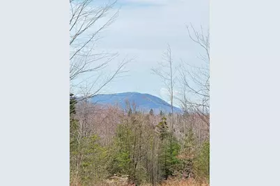 Lot 61 Taylor Woods (Mountain View) Road, Temple, ME 04984 - Photo 5