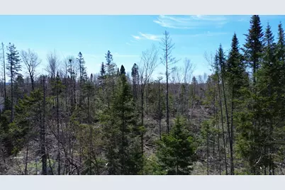 Lot 31C B Road Road, Houlton, ME 04730 - Photo 3