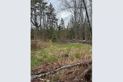 266 Willey District Road, Cherryfield, ME 04622 - Photo 5