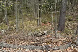 Lot 4 344 Moose Hill Rd, Livermore Falls, ME 04254 - Photo 1