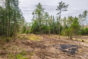 3 Forest Dr, Albany, ME 04217 - Photo 13