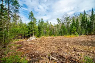 3 Forest Dr, Albany, ME 04217 - Photo 15