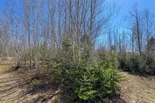 111 Fryes Ln, Greenbush, ME 04418 - Photo 27