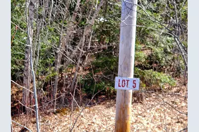 Lot# 51 Indian Hill Lane, Frankfort, ME 04438 - Photo 5