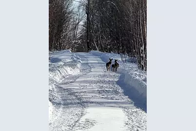 509 Blackberry Lane, Rumford, ME 04276 - Photo 59